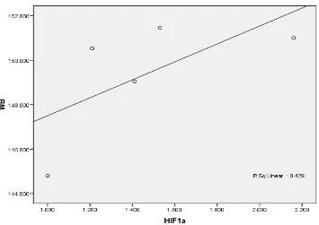 Gambar 9. Diagram scatter untuk korelasi mRNA dan Hasil Western Blott HIF-1α ginjal