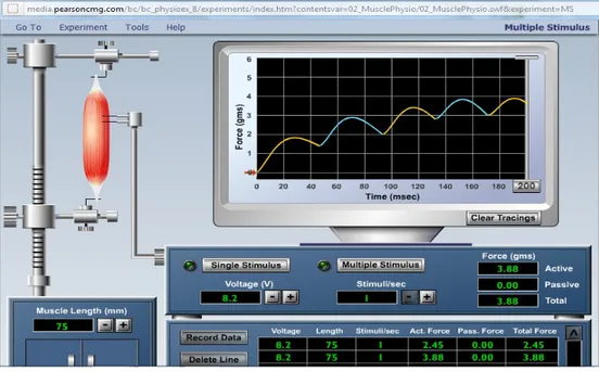 Gambar 1.2 Investigating wave summation pada voltage 8.2