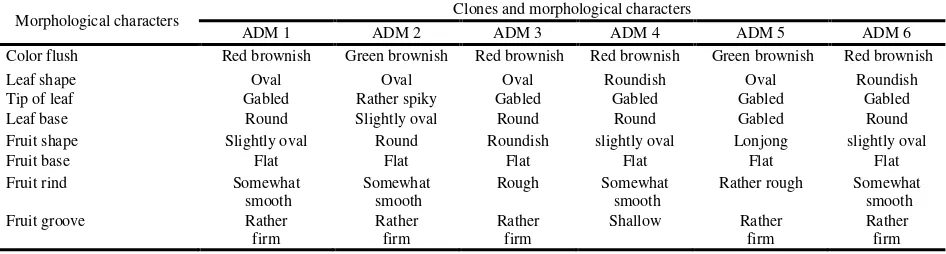 Table 1. Appearance morphological characteristics of cacao in Konawe Regency which has indicated resistance to major pests and diseases 