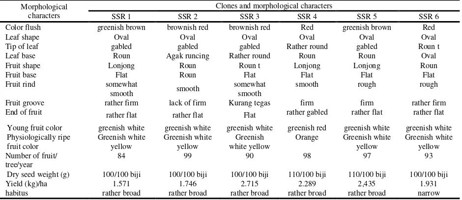 Table 8. The diversity of morphological characters do with resistance to major pests and diseases of cocoa in Muna Regency