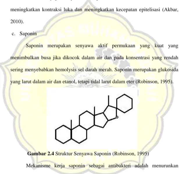 Gambar 2.4 Struktur Senyawa Saponin (Robinson, 1995) 