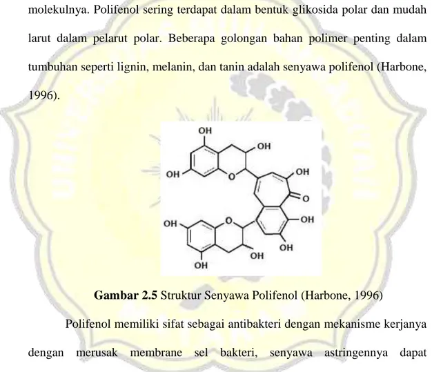 Gambar 2.5 Struktur Senyawa Polifenol (Harbone, 1996) 