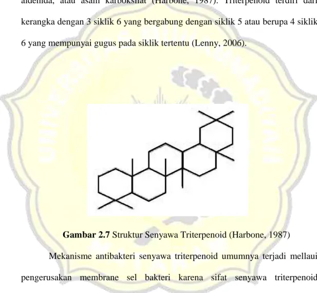 Gambar 2.7 Struktur Senyawa Triterpenoid (Harbone, 1987) 