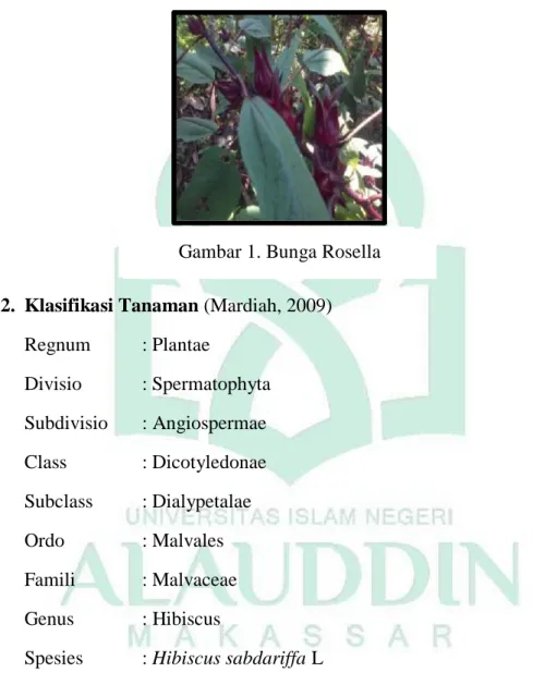Gambar 1. Bunga Rosella 