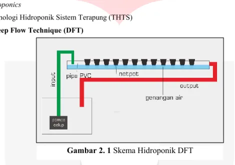 Gambar 2.1 merupakan gambar skema hidroponik teknik DFT. Ciri khusus teknik hidroponik  DFT adalah adanya genangan air pada pipa penanaman setinggi 4 - 6cm [2]