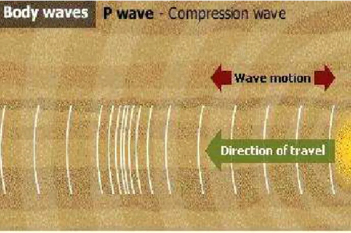 Gambar 2.6 Gelombang Primer (P-wave)  (earthquake.wordpress.com) 