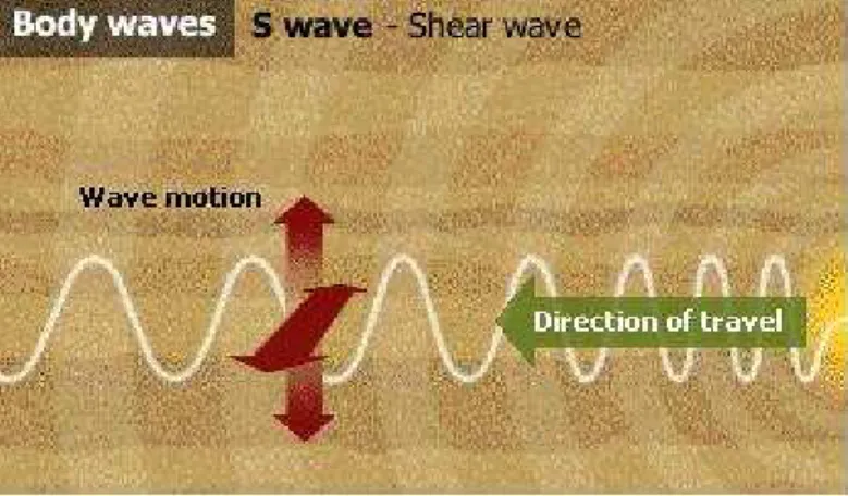 Gambar 2.9 Gelombang Sekunder (S-wave)   (earthquake.wordpress.com) 