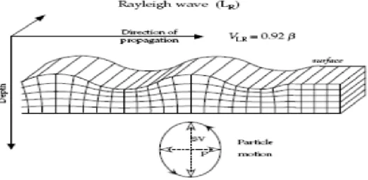 Gambar 10. Pola gerakan partikel gelombang Rayleigh (Lowrie,2007) 