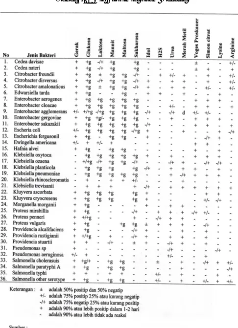 Tabel 4.12 Uji Biokimia Gram Negatif 