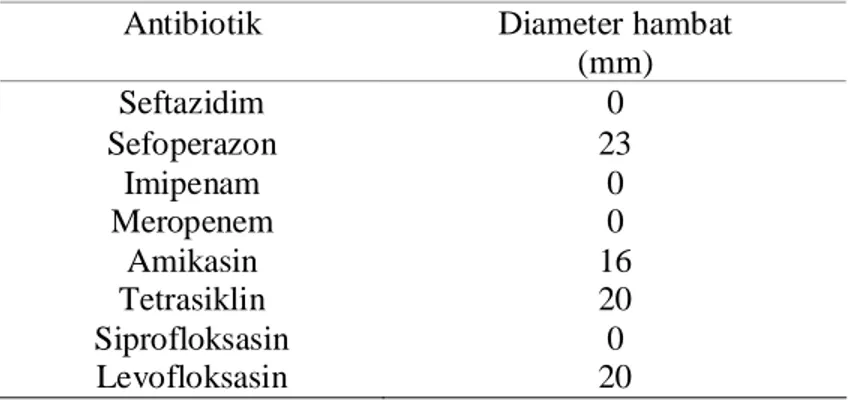 Tabel 5.3 Tabel Hasil Uji resistensi P. aeruginosa multiresisten 