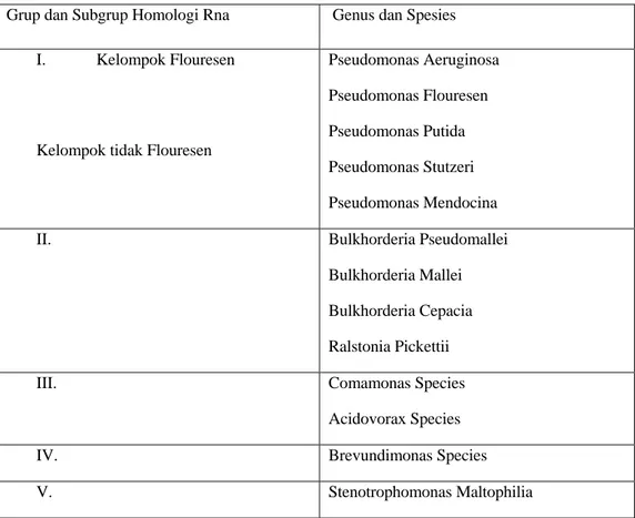Tabel 2. Klasifikasi Pseudomonas aeruginosa 