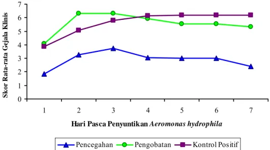 Gambar 5 menunjukkan persentase akumulasi mortalitas harian ikan lele  dumbo pasca infeksi bakteri Aeromonas hydrophila