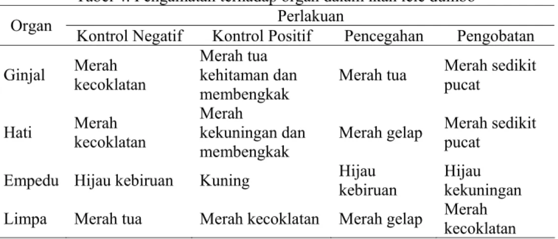 Tabel 4. Pengamatan terhadap organ dalam ikan lele dumbo  Perlakuan 