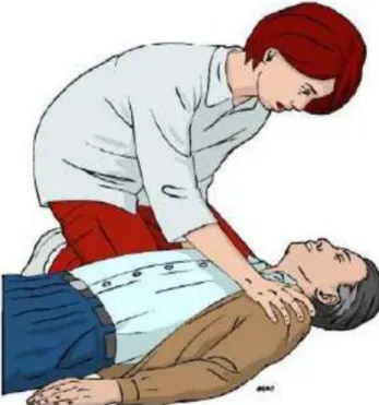 Gambar 2.2 Cek Respon
