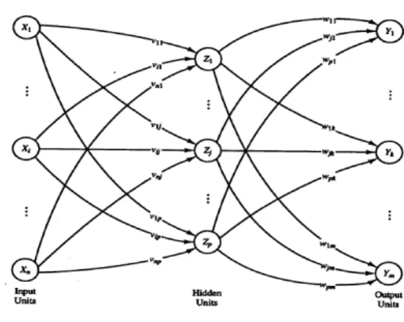 Gambar 13.Single Layer Neural Network 