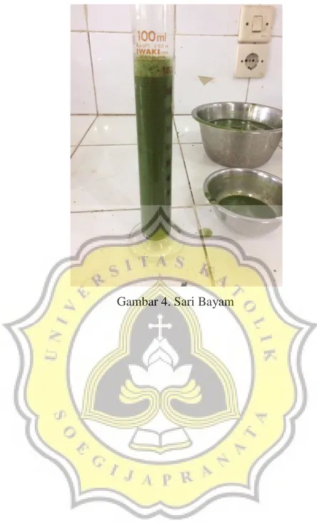 Gambar 4. Sari Bayam 