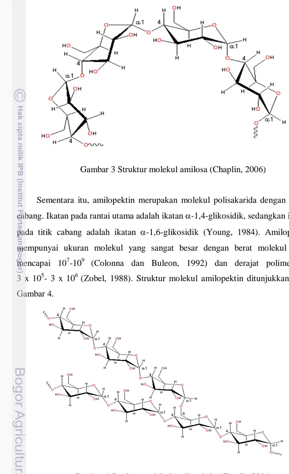 Gambar 3 Struktur molekul amilosa (Chaplin, 2006) 