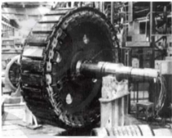 Gambar 2.2 Rotor Generator Sinkron 