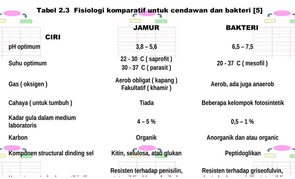 Tabel 2.3  Fisiologi komparatif untuk cendawan dan bakteri [5]