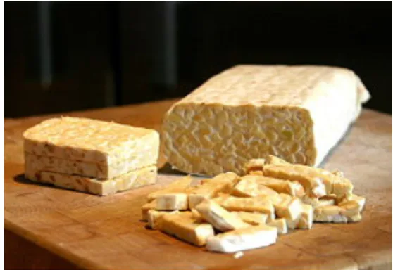 Gambar 1. Tempe mentah (tempe segar) 