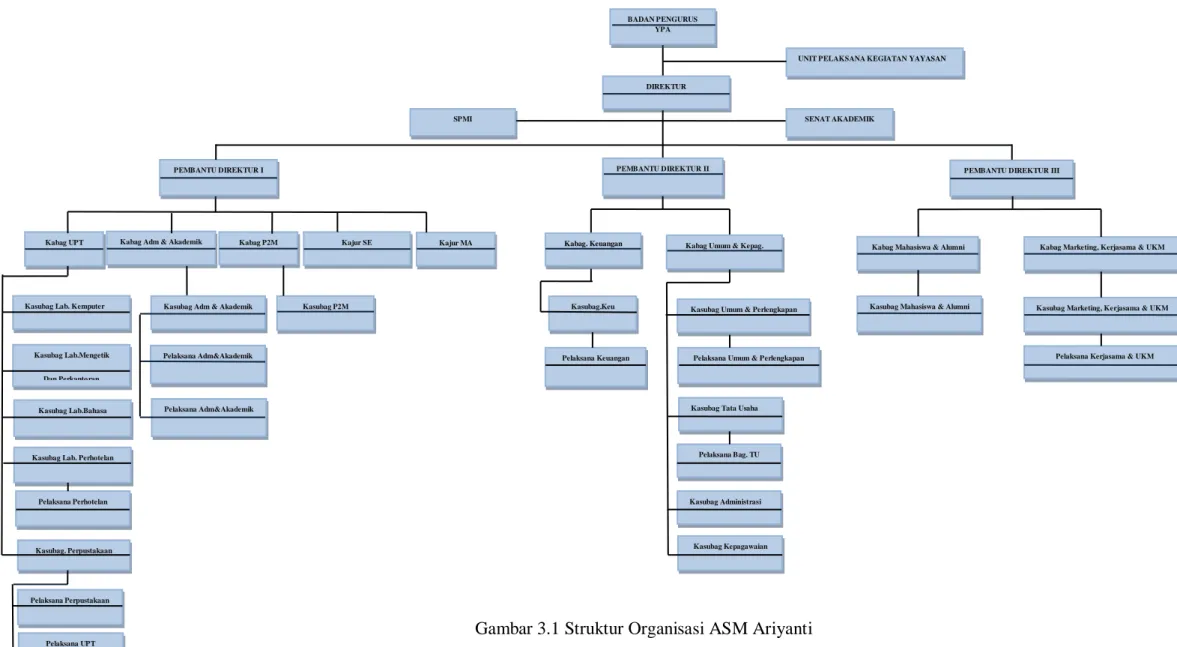 Gambar 3.1 Struktur Organisasi ASM Ariyanti 