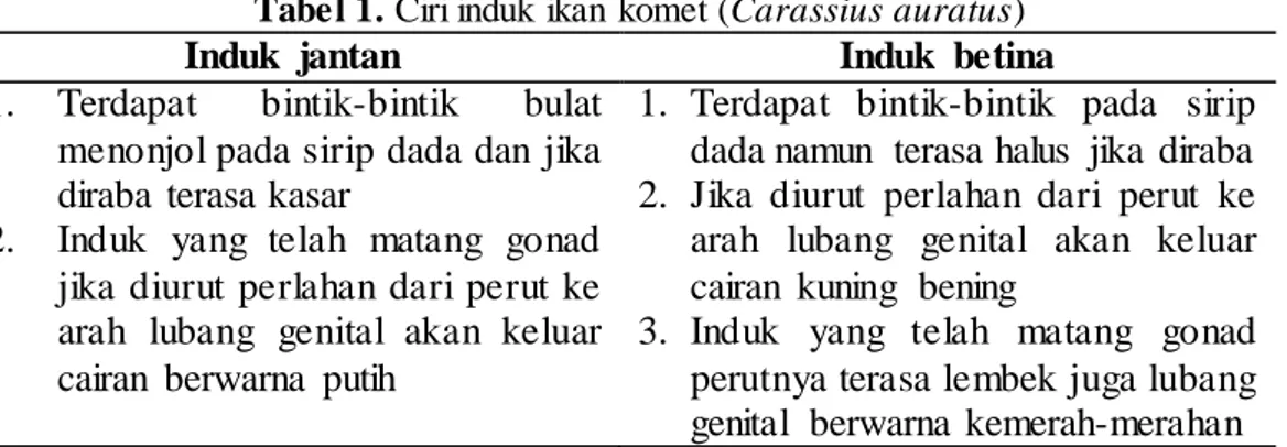 Tabel 1. Ciri induk ikan komet (Carassius auratus) 