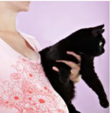Gambar 2. Ibu hamil dan kucing ( URL:http://pregnancy.about.com/b/2010)