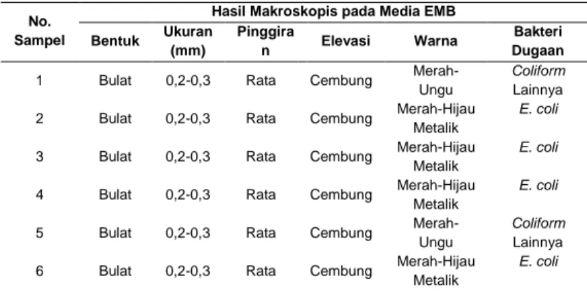 Tabel 3 Hasil Makroskopis pada Media EMB 