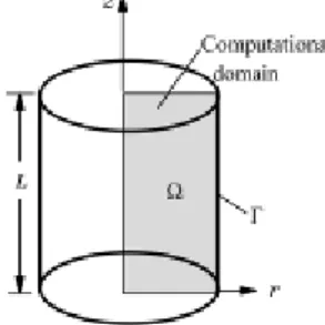 Gambar 1. Ilustrasi domain system axisymmetry  Asumsi Model 