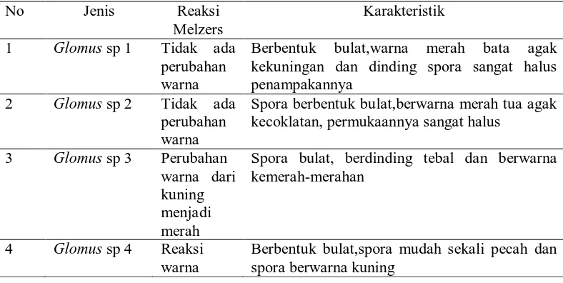 Tabel 3. Identifikasi berbagai macam jenis Genus Spora Mikoriza Arbuskula 