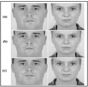 Gambar 3. (a) Gambar asli (b) Gambar wajah sebelah            kanan dicerminkan untuk mendapat simetri          (c) Gambar wajah sebelah kiri dicerminkan           untuk mendapat simetri.14  