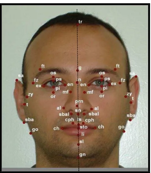 Gambar 6. Titik-titik yang digunakan untuk analisis    foto frontal.14 