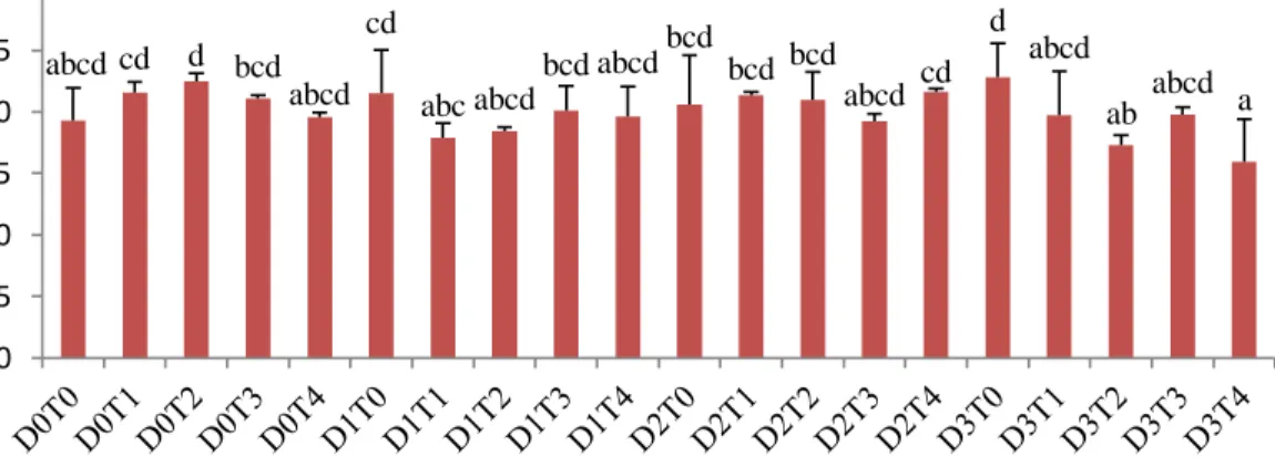 Gambar 4.1.  Tinggi Tanaman Bawang Putih Doulu dengan Aplikasi Kolkisin pada  Konsentrasi  dan  Lama  Perendaman  yang  Berbeda-beda  (D  =  konsentrasi kolkisin; D0= 0%; D1= 0,1%; D2= 0,2%; D3= 0,3% dan   T = waktu perendaman; T0= 0 jam; T1= 6 jam; T2= 12