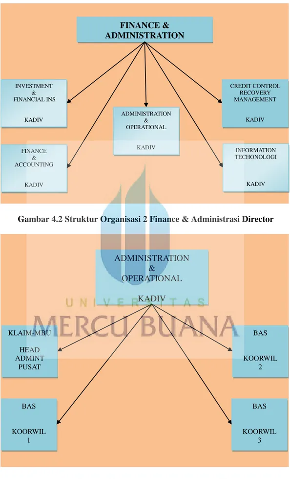 Gambar 4.2 Struktur Organisasi 2 Finance &amp; Administrasi Director 
