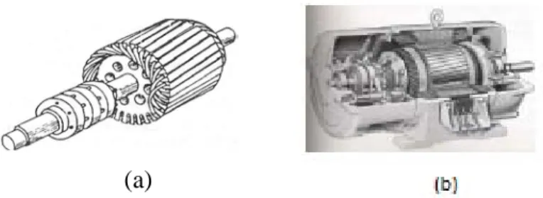 Gambar 2.4 (a) Tipikal rotor belitan, (b) motor induksi rotor belitan 