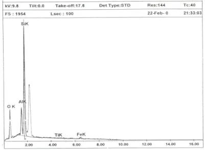 Gambar 3. Spektrum dan Quantifikasi Unsur dengan metoda EDAX  
