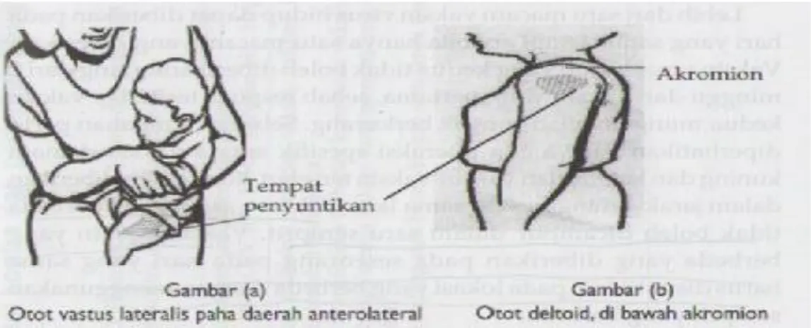 Gambar 2. Lokasi Penyuntikan intramuscular Pada Bayi (a) dan Anak Besar (b)