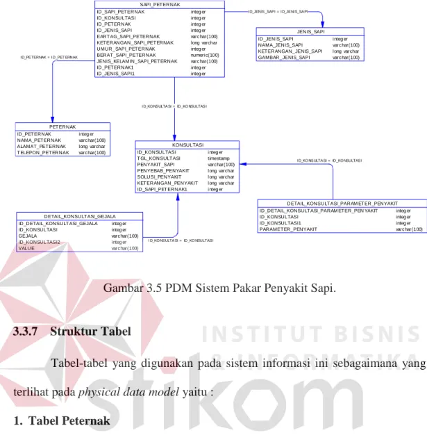 Gambar 3.5 PDM Sistem Pakar Penyakit Sapi. 
