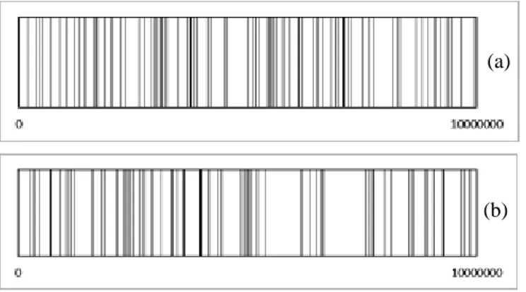 Tabel  2  menunjukkan  daftar  bilangan  acak  yang  dibangkitkan menggunakan  pseudo random number generator  distribusi uniform(0;1) dari Microsoft Excel