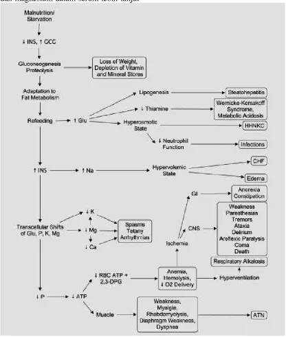 Gambar 1. Patofisiologi Refeeding SyndromenecrosisCNS:adenosine triphosphate, RBC:sel darah merah, CHF: INS : insulin, GCG:glukagon, Glu:glukosa, P:fosfor, K:kalium, Na:natrium, Ca:Kalsium, ATP : .(12) Congestive Heart Failure, ATN: Acute tubular , HHNKC:h