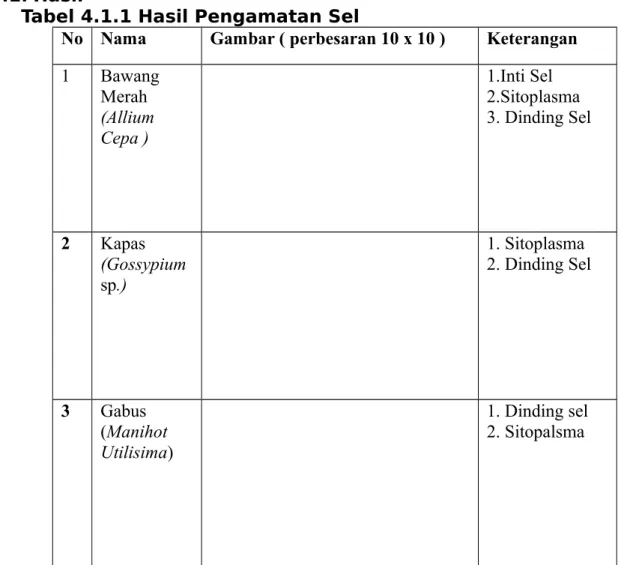 Tabel 4.1.1 Hasil Pengamatan Sel