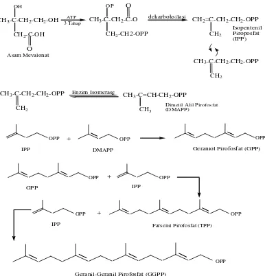 Gambar 2.5 Pembentukan Geranil-Geranil Pirofosfat (GPP) (Pinder,1960) 