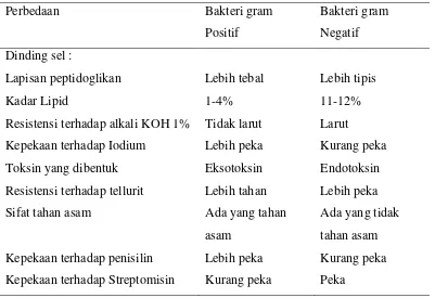 Tabel 2.1 Perbedaan bakteri gram positif dan gram negatif : 