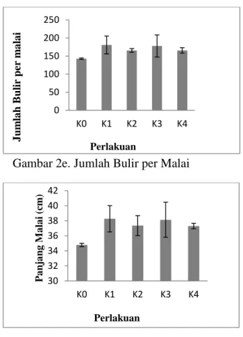 Gambar 2f. Panjang Malai 