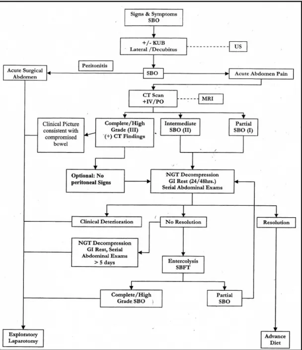 Diagram 1. Penatalaksanan Small Bowel Obstruction menurut Guideline for  Management of Small Bowel Obstruction 2008 