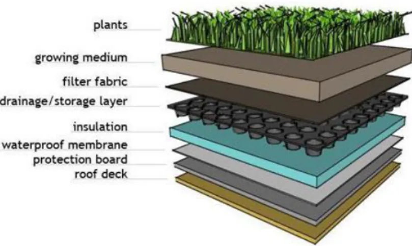 Gambar 2.9. Struktur lapisan green roof 