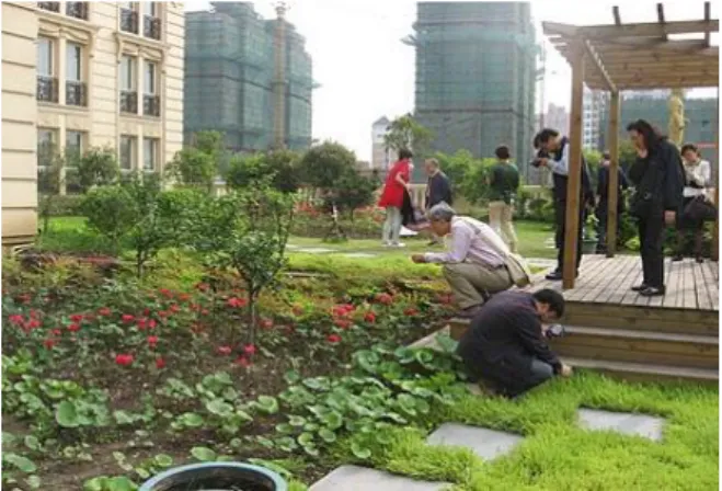 Gambar 2.4. Intensive green roof 