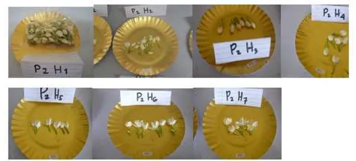 Gambar 7. Perubahan Warna Teknik Top Icing dengan Film Plastik Selama Penyimpanan 
