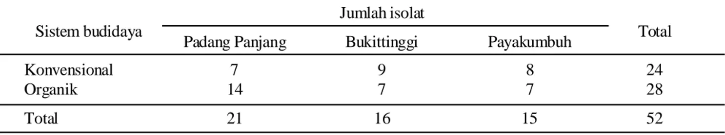 Tabel 2.  Jumlah isolat jamur  yang berasal  dari rizosfer cabai sistem konvensional dan organik pada beberapa lokasi di Sumatera Barat