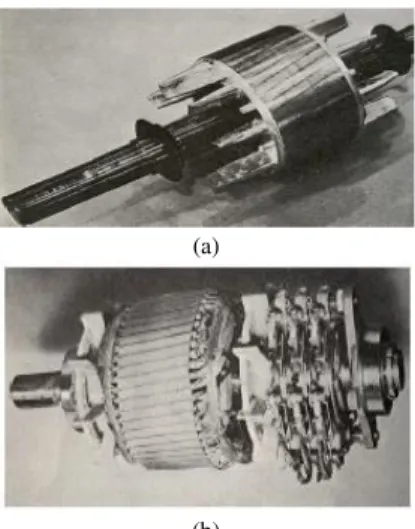 Gambar  motor  induksi  tipe  slip-ring dan tipe sangkar tupai  dapat dilihat pada Gambar 1